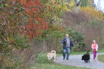 Photo of an individual and a dog walking in a Liberty Park