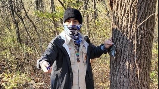 Photo of an individual putting  a plaque on a tree