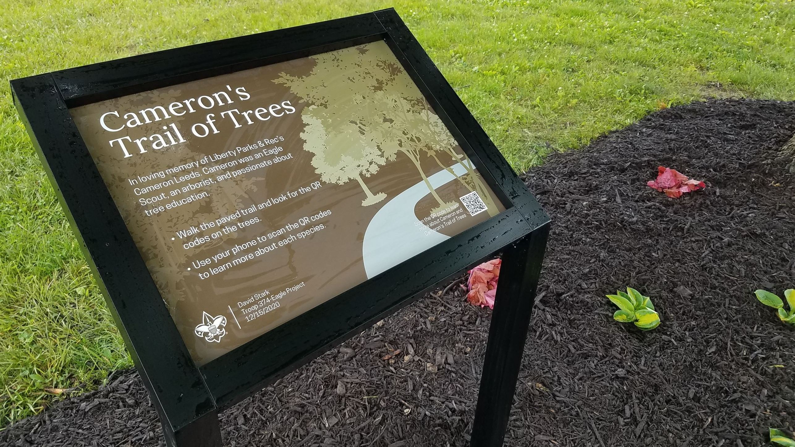 Photo of Cameron's trail of trees sign