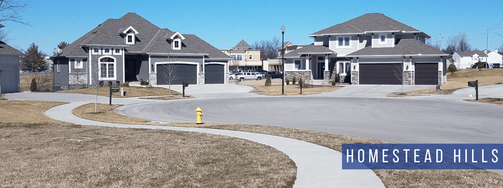 Photo of houses in the Homestead Hills neighborhood