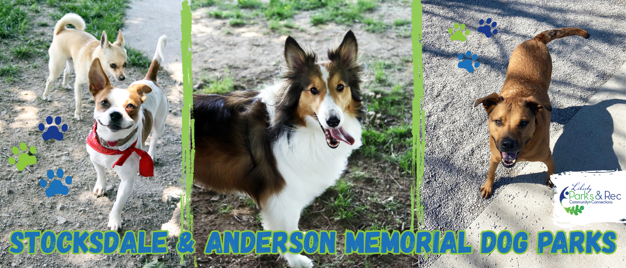 3 smiling dogs, paw prints, Stocksdale & Anderson Memorial Dog Parks
