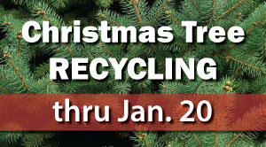 Christmas Treecycling